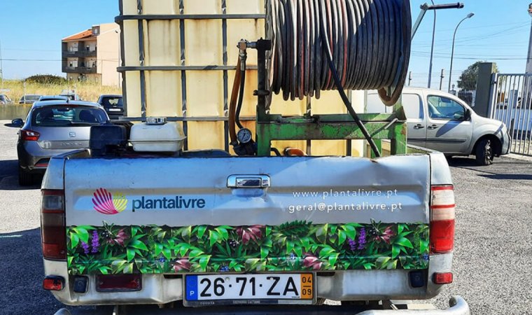 Decoração de carrinha com vinil de alta gama planta livre