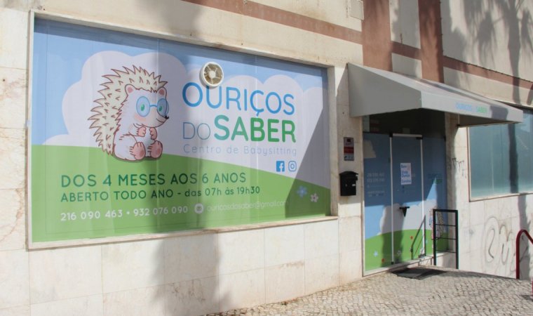 Decoração de Montra - Ouriços do Saber 