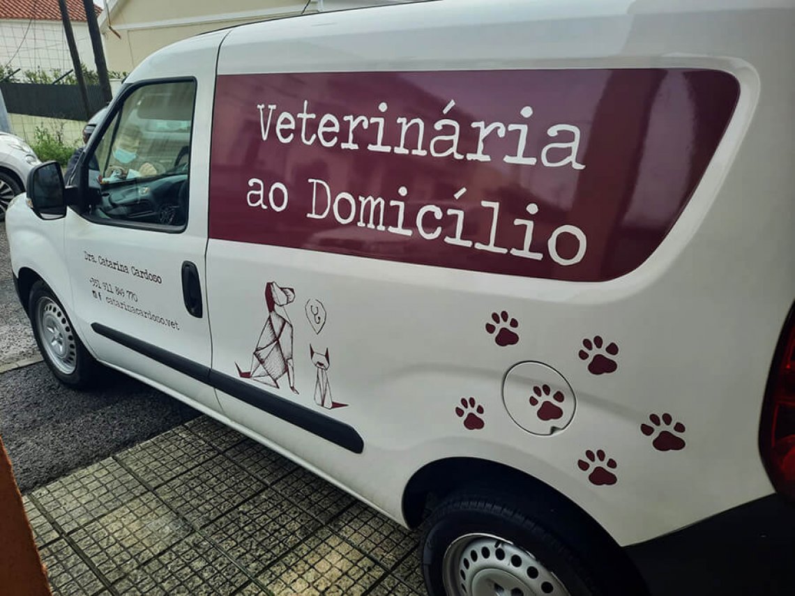 Decoração Carrinha Simples - Catarina Cardoso